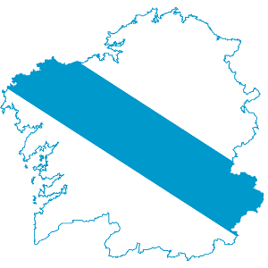 Posicionamiento web Galicia